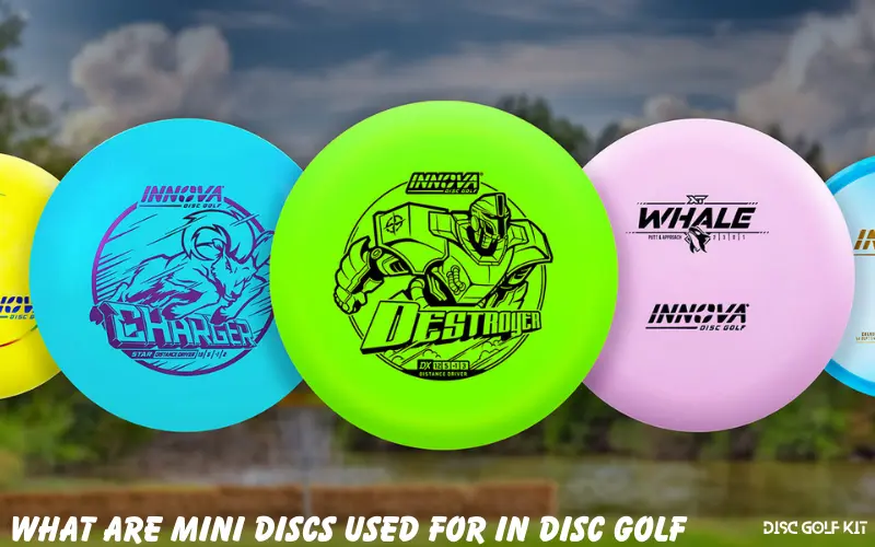 What Are Mini Discs Used For In Disc Golf