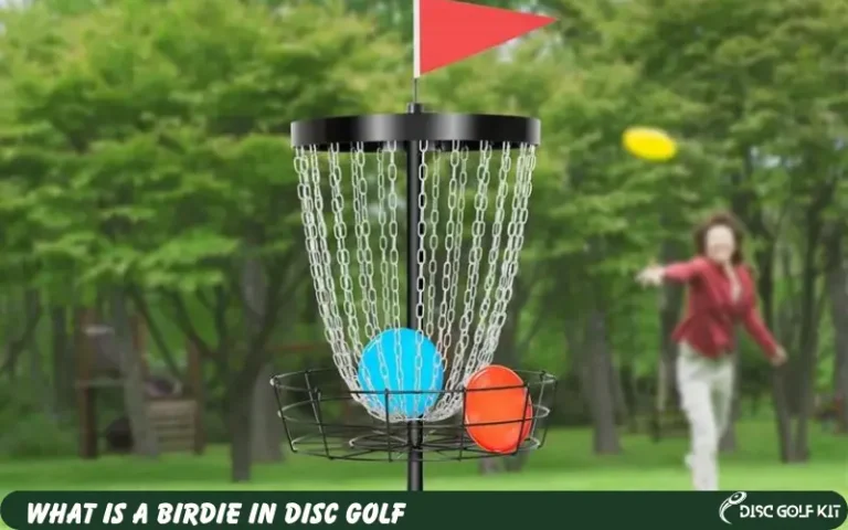 What Is a Birdie In Disc Golf [Detailed Beginners Guide]