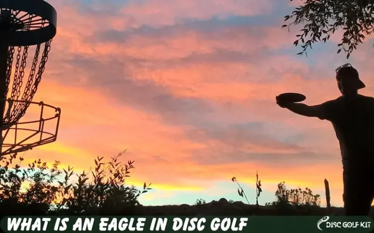 What Is An Eagle In Disc Golf – DiscGolfKit.com