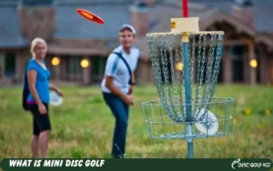 What Is Mini Disc Golf