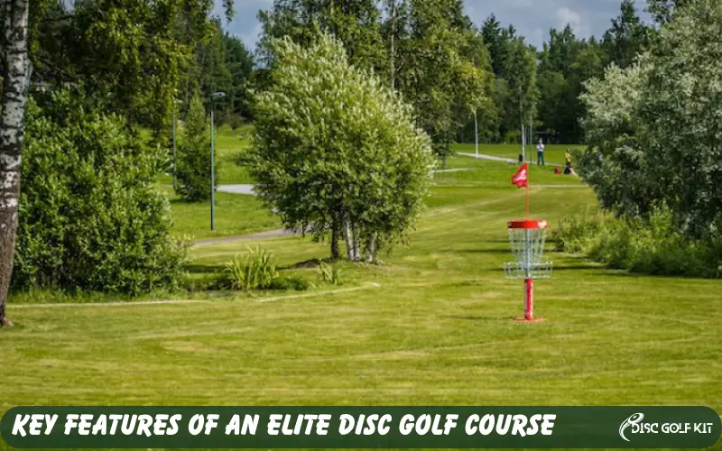 Key Features of an Elite Disc Golf Course